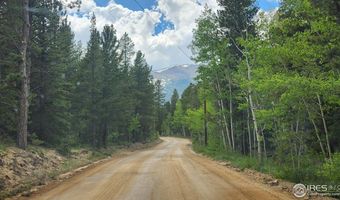 256 Fisk Fenner Rd, Allenspark, CO 80510