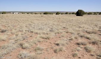 14 CR 5525, Concho, AZ 85924
