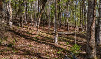 Back Nine Drive lot 13, Baneberry, TN 37890