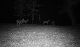 71 8 Klondike Rd, Anderson, MO 64831