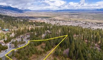235 Job'S Canyon Ct, Gardnerville, NV 89460