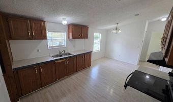 1769 White Cloud Ave, Apopka, FL 32712