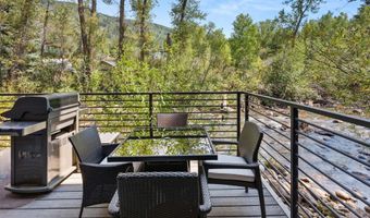 1039 E COOPER Avenue 21A, Aspen, CO 81611