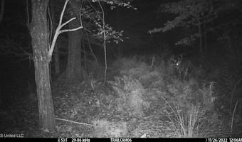 2233 Holloman Rd, Bentonia, MS 39040