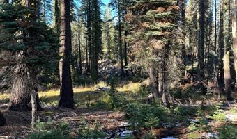 550 Cabbage Patch Log Rd, South Lake Tahoe, CA 95223