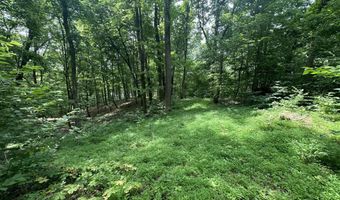 Lot 5 & 6 Lafon Road, Bath Springs, TN 38311
