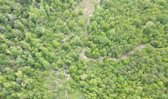 TBD NW CR 274, Altha, FL 32421