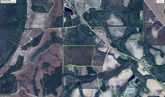 100 Doc Hunter Rd, Baxley, GA 31513