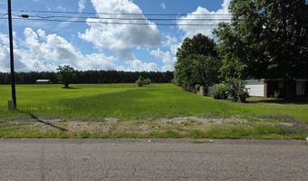 840 County Road 33, Ashford, AL 36312