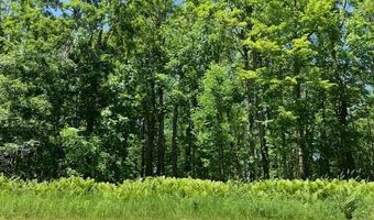 TBD Maple Isle Court Units 33 & 34, Alanson, MI 49706