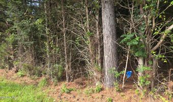 Old Lincolnton Road, Appling, GA 30802