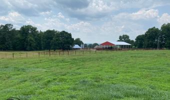 2665 Mt. Carmel Rd, Altoona, AL 35952