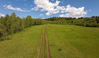 FALCON Drive, Alpine, WY 83128