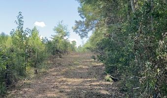 001 Farr Rd, Bolton, MS 39041