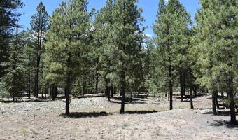 80 Ranch Rd, Bayfield, CO 81122