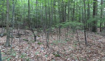 Wendy Drive lot 134-135, Alton, NH 03810