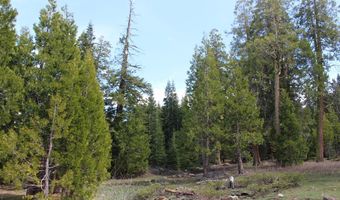 Tower Springs, Bly, OR 97622