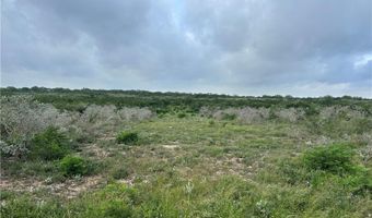 Tbd County Road 173, San Diego, TX 78332