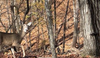 451403 Pheasant Cir Lot 56, Afton, OK 74331