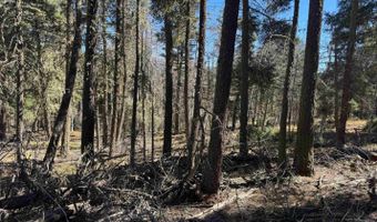 Taos Dr lot 173, Angel Fire, NM 87710