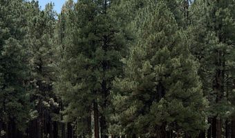 58 County Road N2122, Alpine, AZ 85920