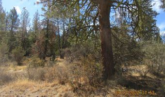 Lot 2 Tiger Lane, Bonanza, OR 97623