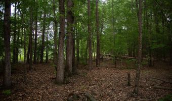 105 Dunwoody Pl, Blythewood, SC 29016