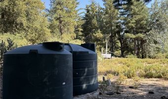 0 Ca-38, Angelus Oaks, CA 92305