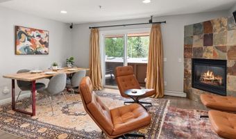 326 Midland Ave 302, Aspen, CO 81611