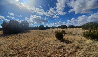 CR 5120, Concho, AZ 85924