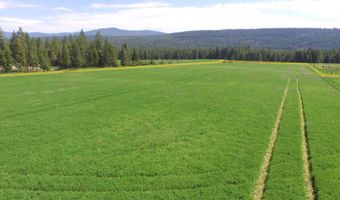 Nna US-95, Bonners Ferry, ID 83805