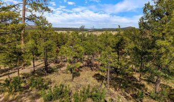 CR 2193, Alpine, AZ 85920