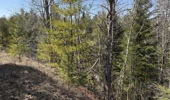 160 AC M32 W, Alpena, MI 49707