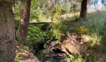 87996 BILL CREEK Ln, Bandon, OR 97411