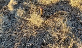 1 3 County Road 5088, Concho, AZ 85924