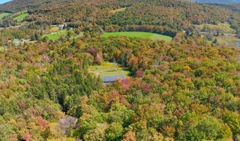 1724 Calhoun Hill Rd, Andes, NY 13731