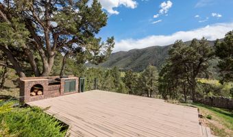 561 Booth Ln, Basalt, CO 81621