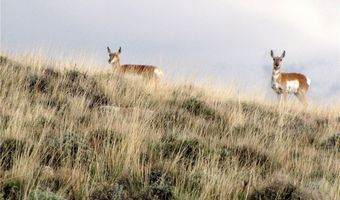 NHN Broken Trail N lot Bvr 944-19, Belfry, MT 59008