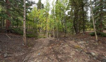 452 QUARTZVILLE Rd, Alma, CO 80420