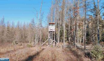 10478 Leander Rd, Angora, MN 55703