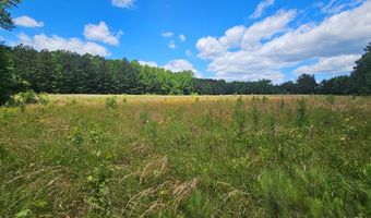 26 55 Acres Namozine Rd, Amelia Court House, VA 23002