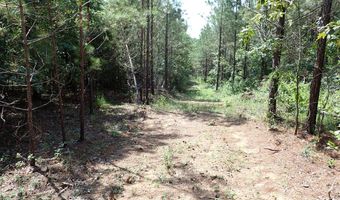 Adams Road, Bankston, AL 35542