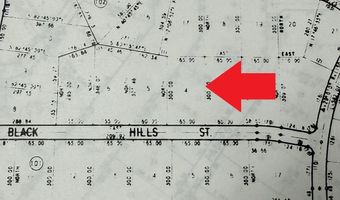 Black Hills Street lot 4, Alford, FL 32420