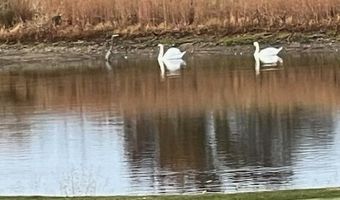 7916 Apalachee Dr, Indianapolis, IN 46217