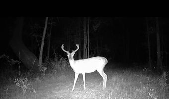 1 Champion Hill Rd, Bolton, MS 39041
