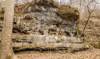 County Road 19-A, Alton, MO 65606