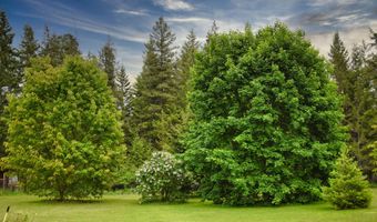 392 Shingle Mill Loop, Bonners Ferry, ID 83805