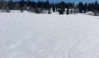 1656 Shadow Loop S, Ashton, ID 83420