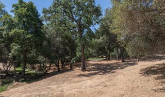 336 Catalpa Ln, Angels Camp, CA 95222
