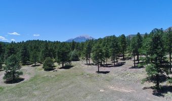 28111 County Rd 41.4, Aguilar, CO 81020